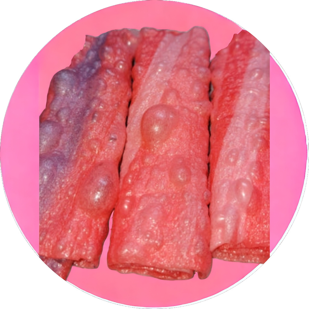 Freeze Dried Fruity Martian Logs (Fruit Roll-Ups)