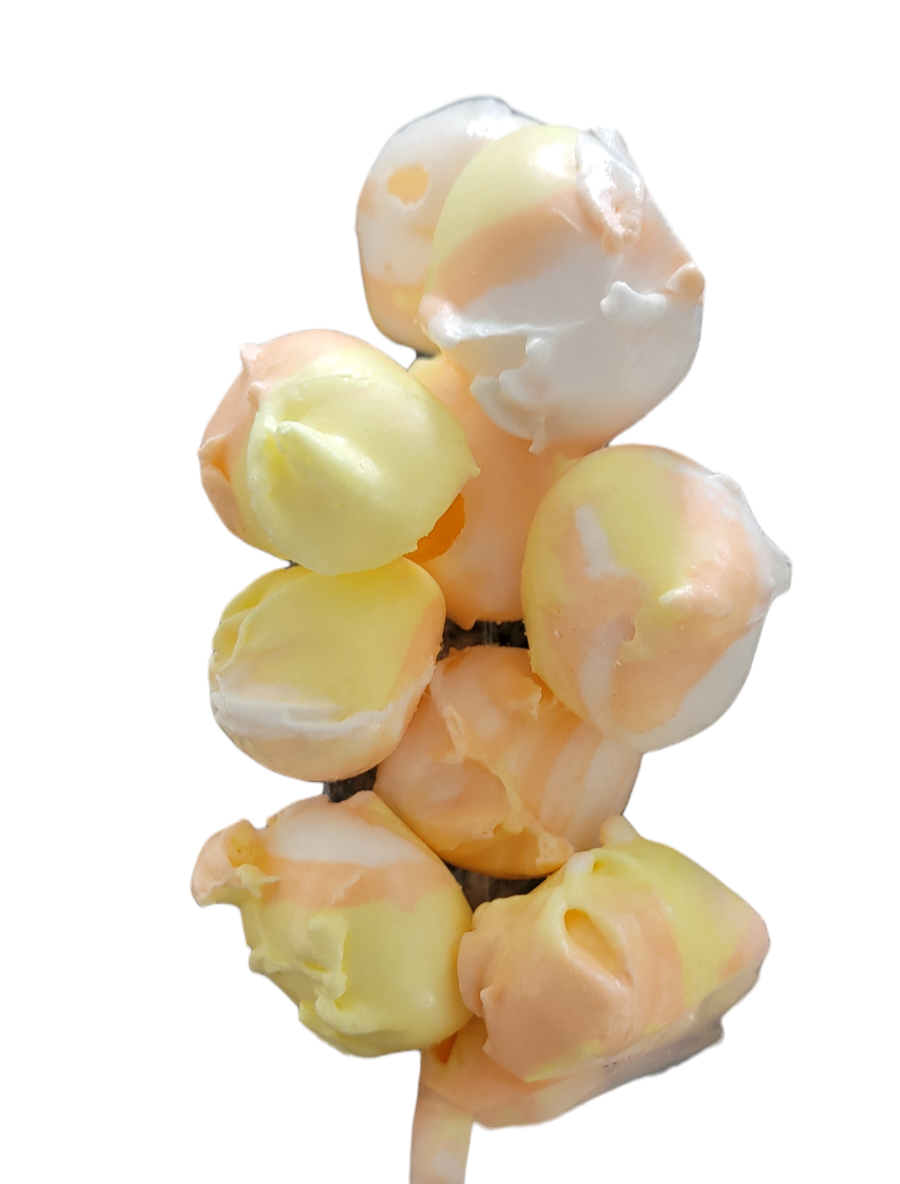 Freeze Dried Salt Water Taffy