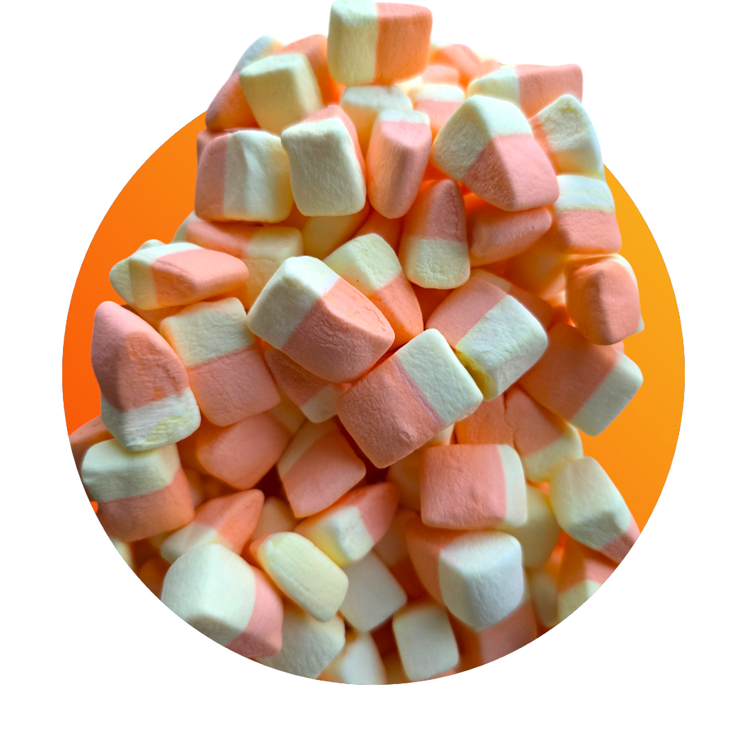 Freeze Dried Corn Candy Marshmallows