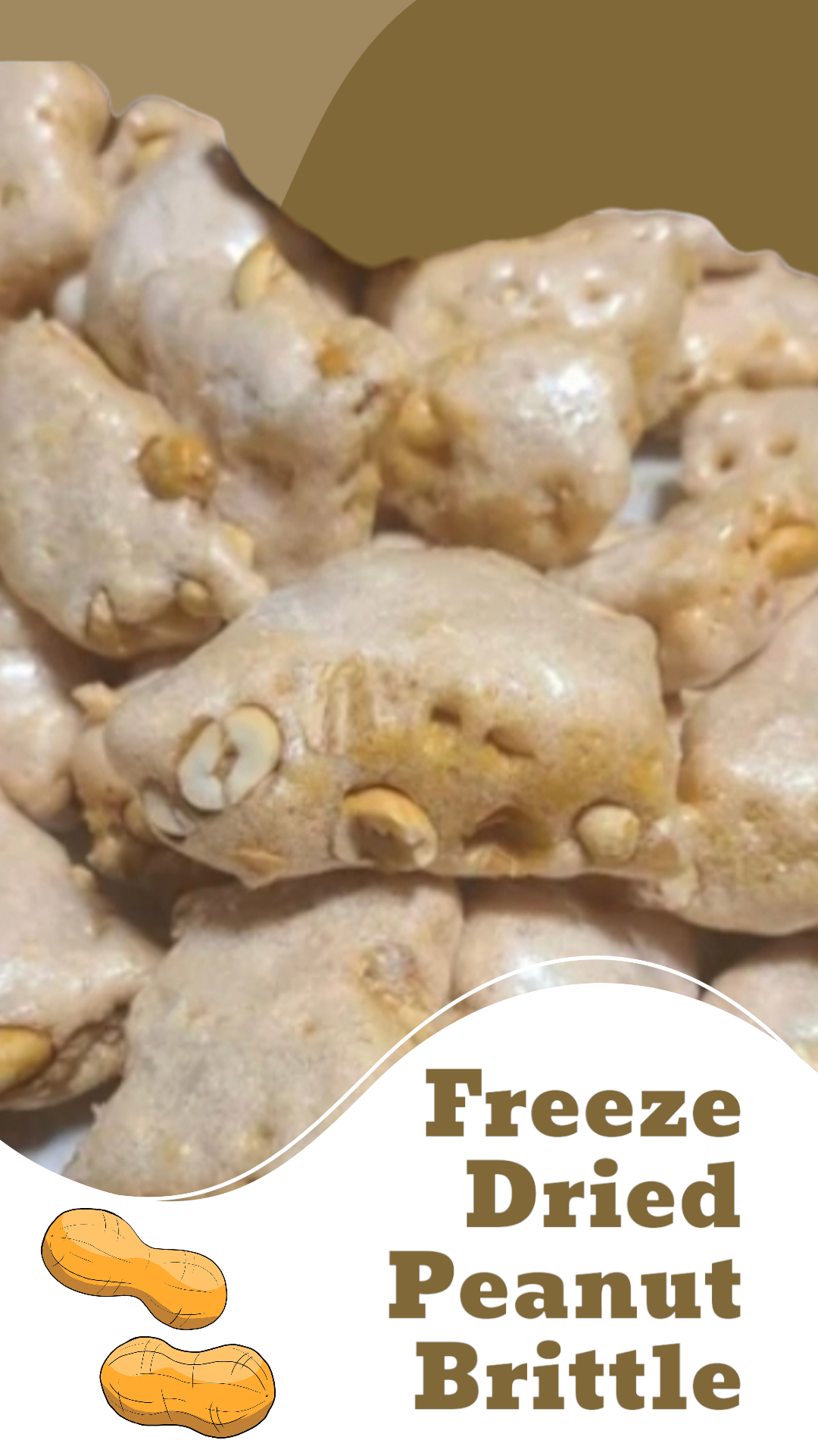 Freeze Dried Peanut Brittle