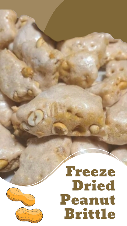 Freeze Dried Peanut Brittle