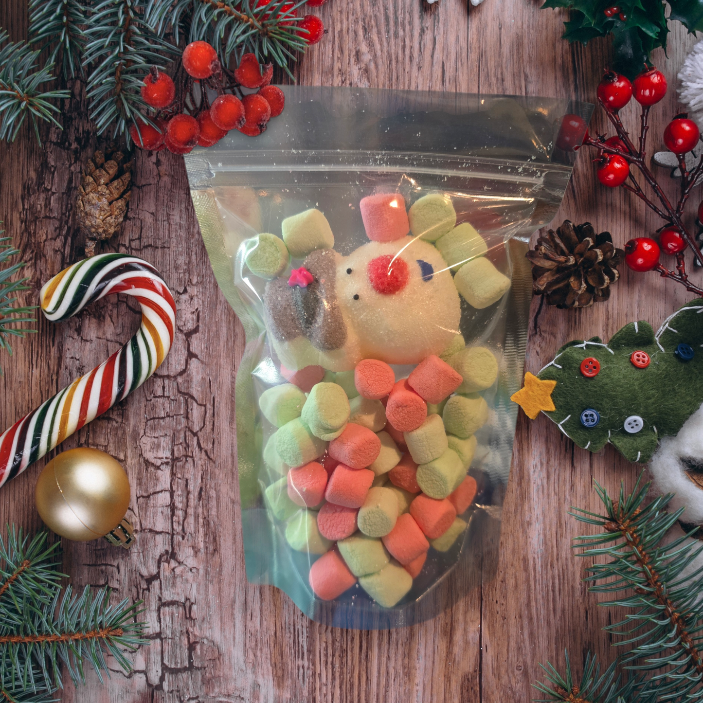 Freeze Dried Christmas Marshmallows (Comes with a free bag of hot chocolate!)