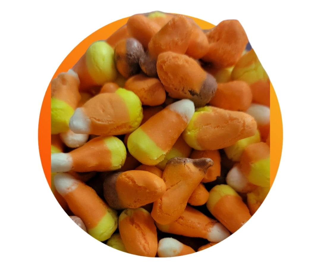 Freeze Dried Corn Candy