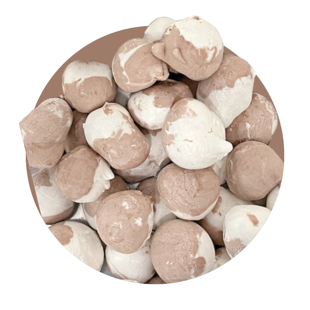 Freeze Dried Salt Water Taffy Cones